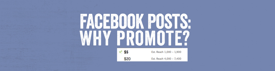 Facebook posts- why promote?